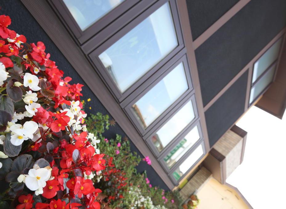 歯科ホームページ/センプレ