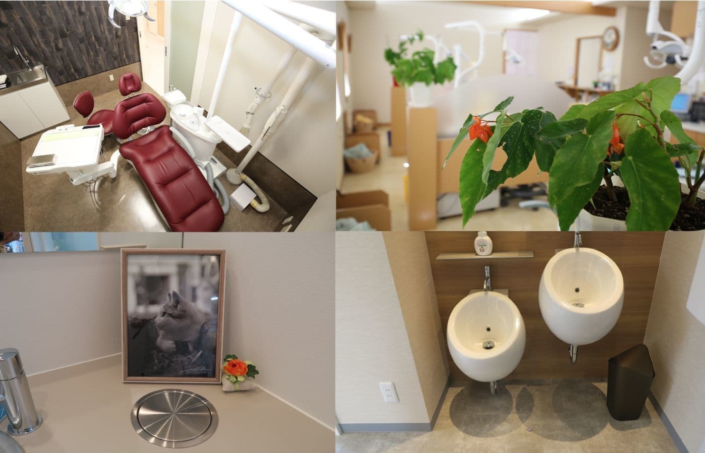 歯科親子継承開業/センプレ